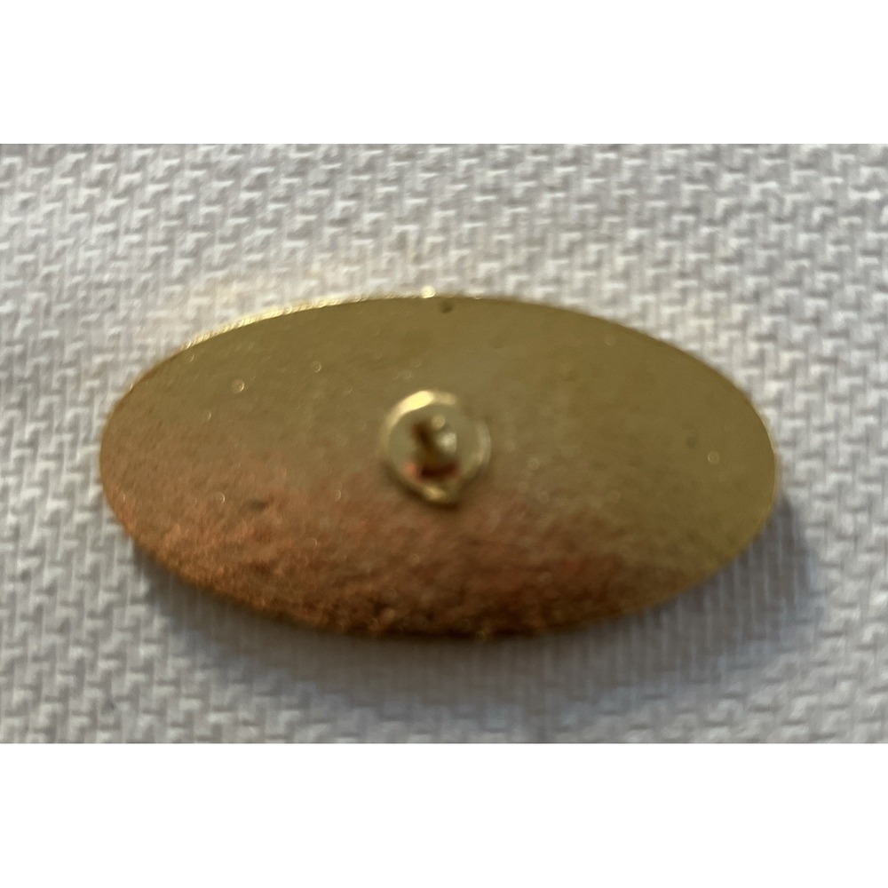 DELAWARE STATE CHIEFS ASSOCIATION HAT LAPEL PIN PIN BACK USED (F0595) - Picture 2 of 3